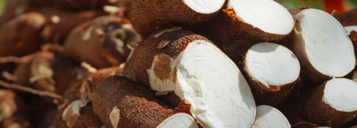 Rasper blade for cassava and potatoe